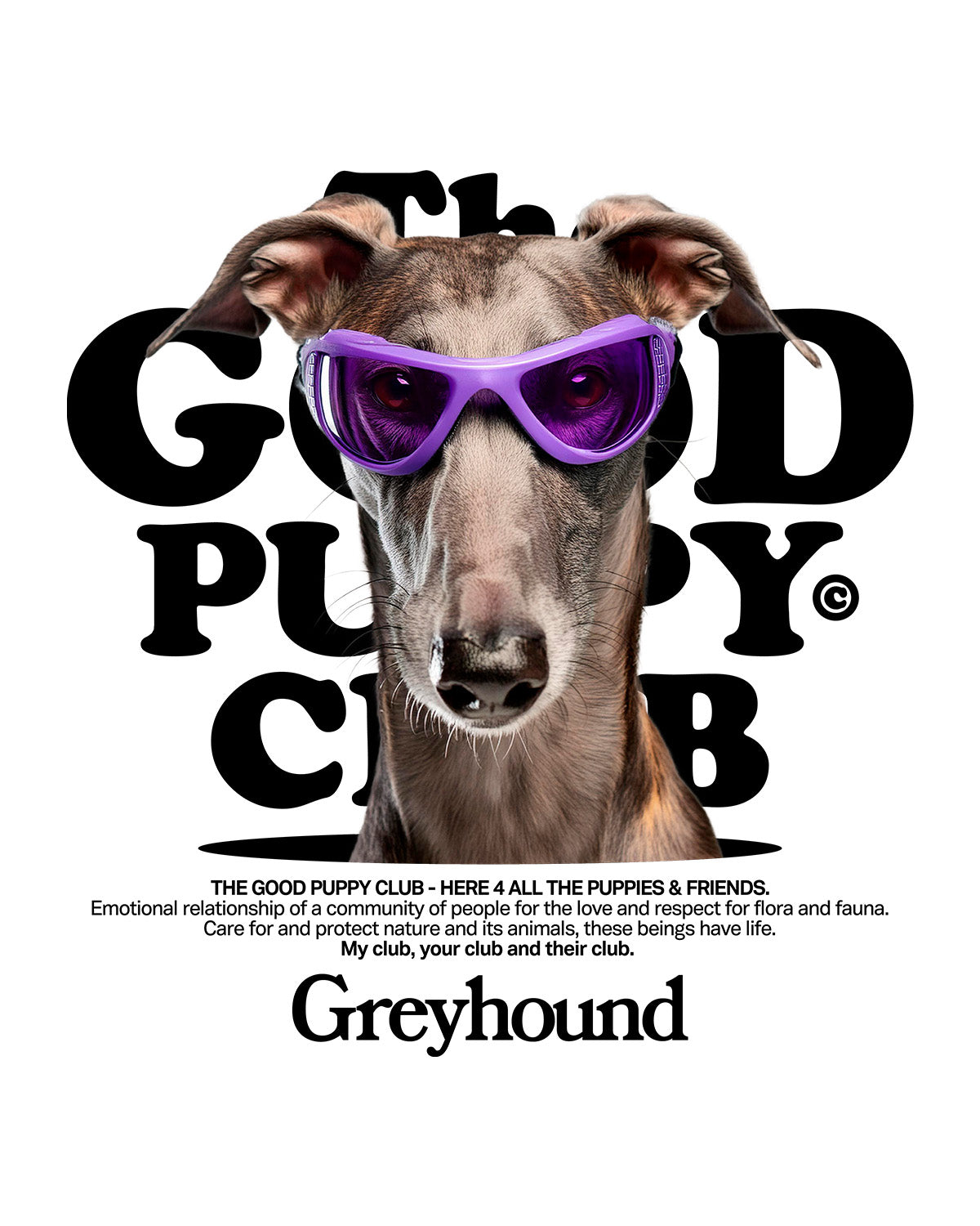GALGO SUDADERA CON CAPUCHA