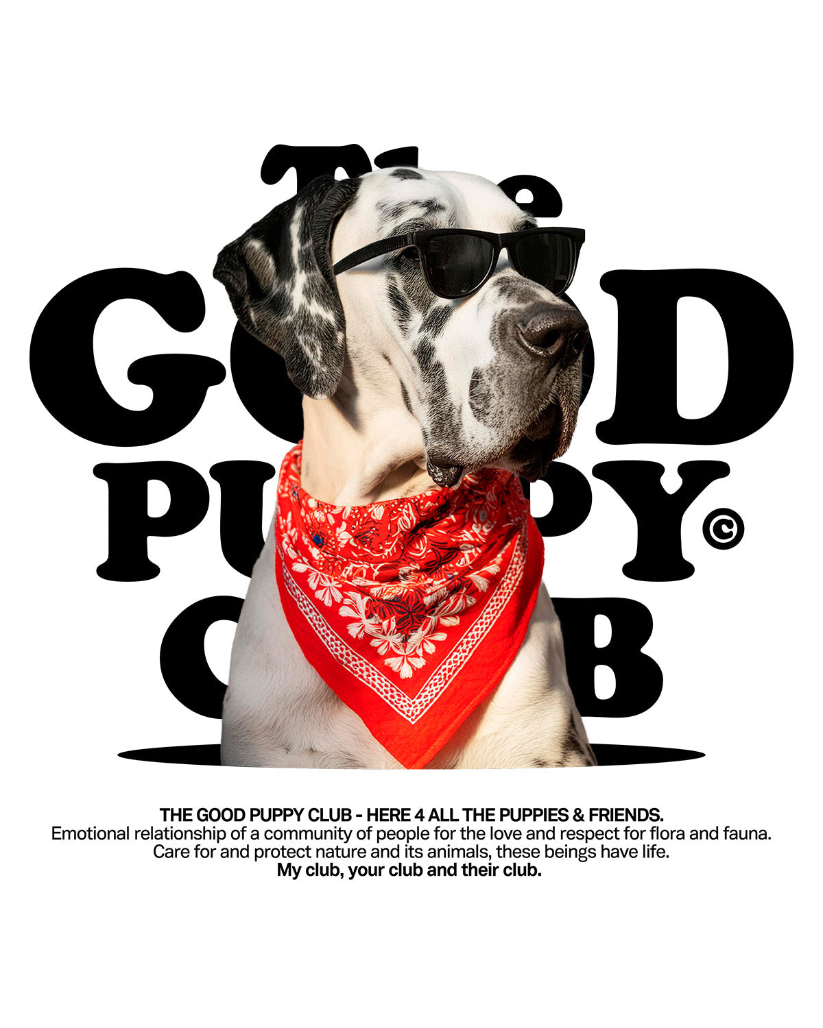 GREAT DANE T-SHIRT
