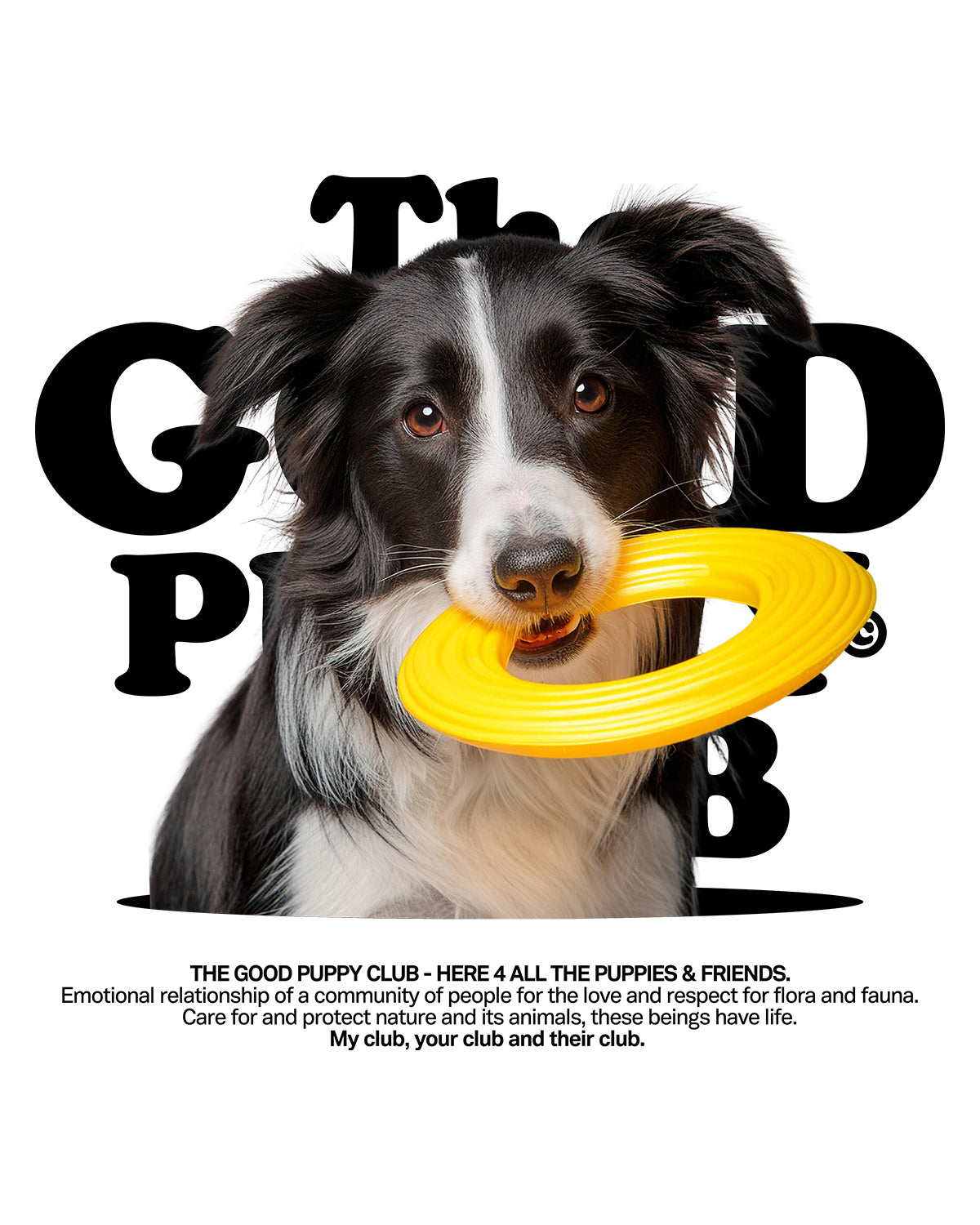 BORDER COLLIE ZIP-UP SWEATSHIRT