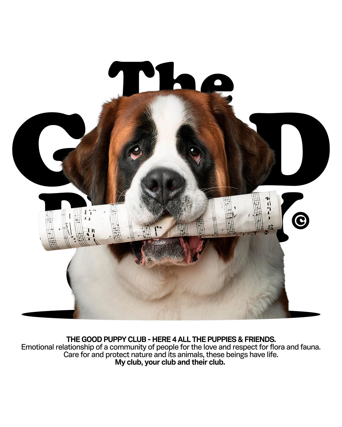SAINT BERNARD HOODIE