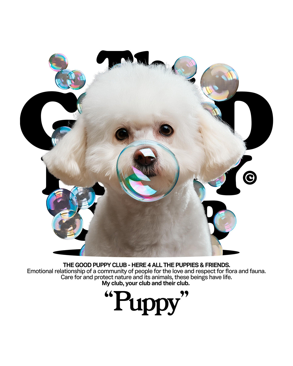 BICHON FRISE SWEATSHIRT