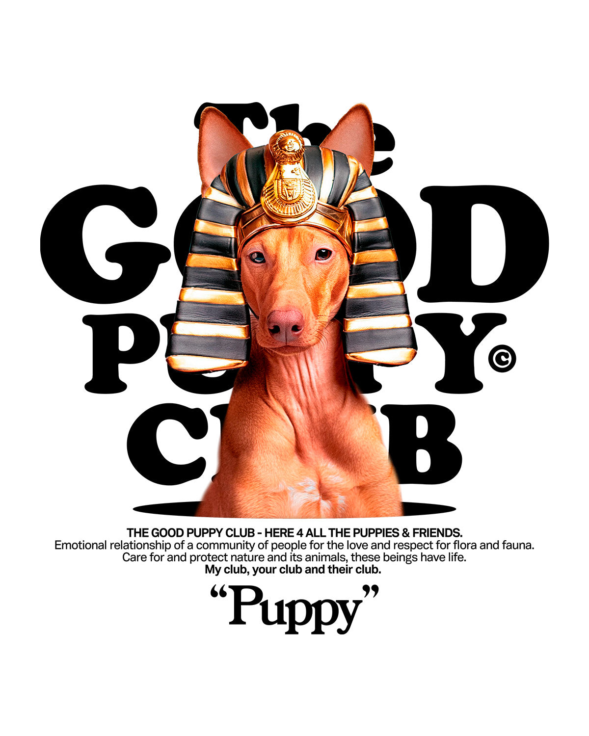 PHARAOH HOUND T-SHIRT
