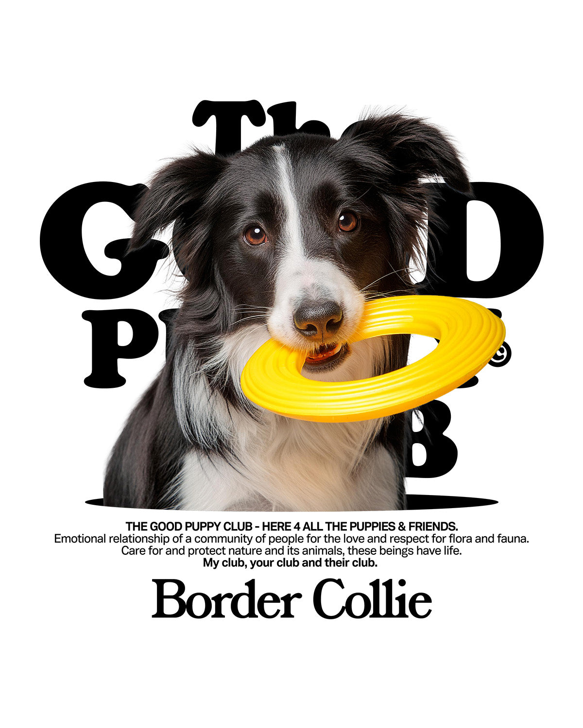 BORDER COLLIE HOODIE