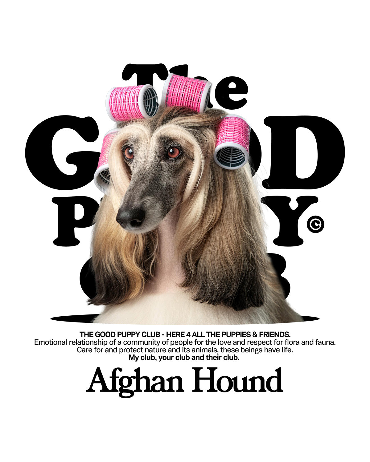 AFGHAN GREYHOUND HOODIE