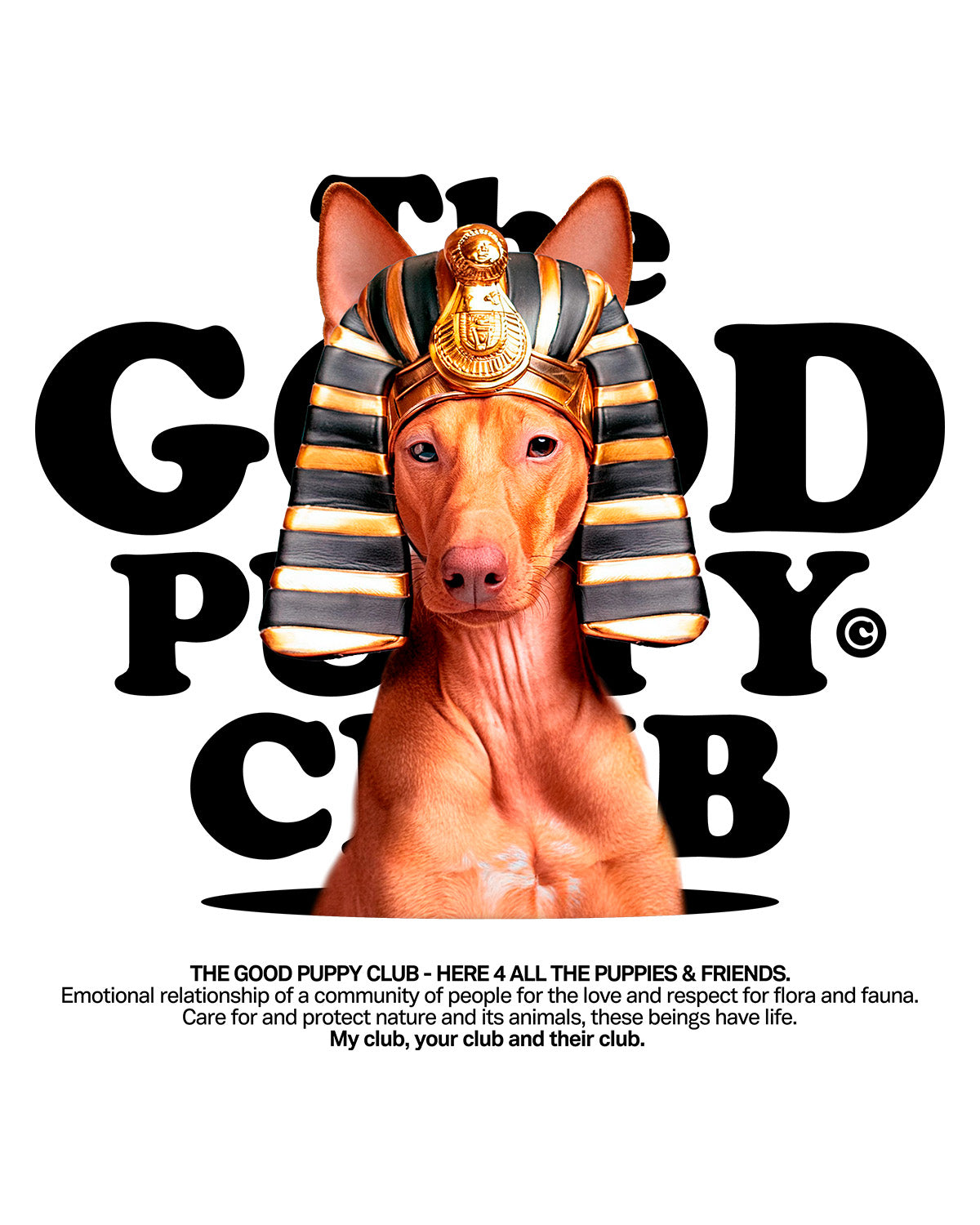 PHARAOH HOUND T-SHIRT