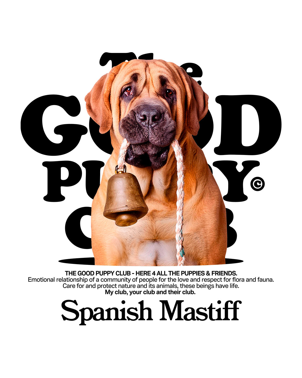 SPANISH MASTIFF HOODIE