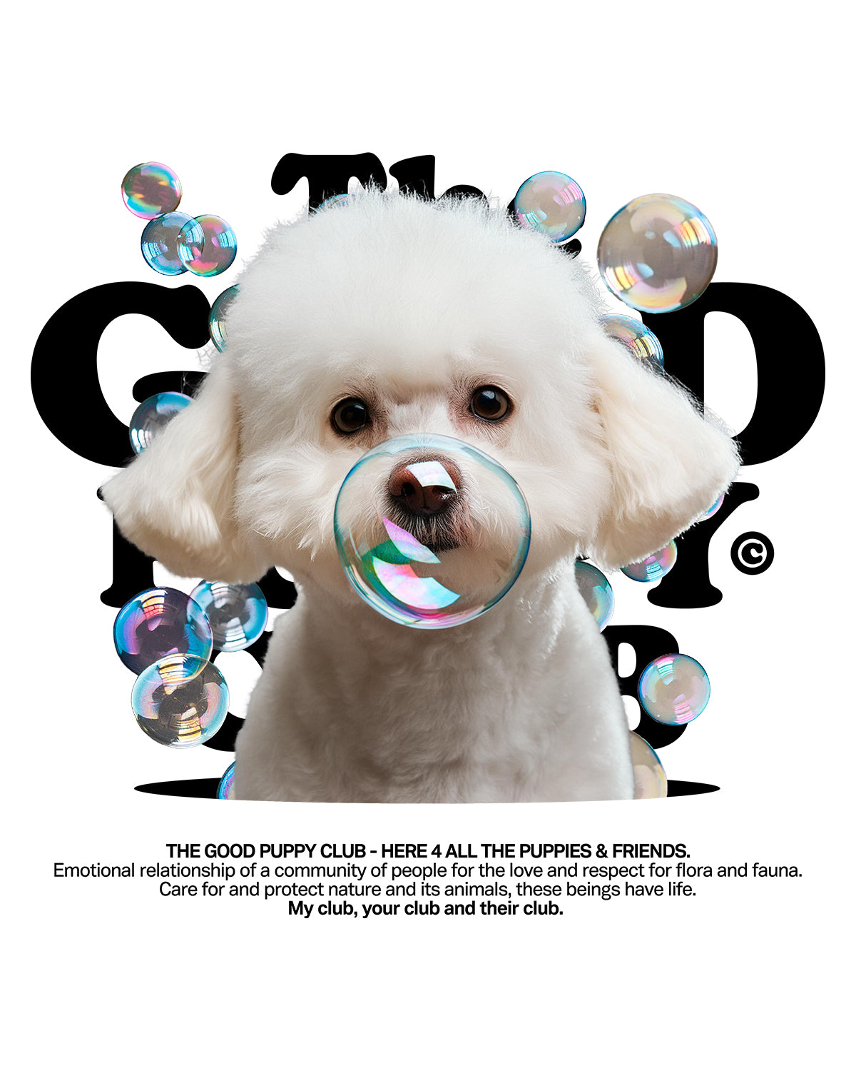 BICHON FRISE SWEATSHIRT