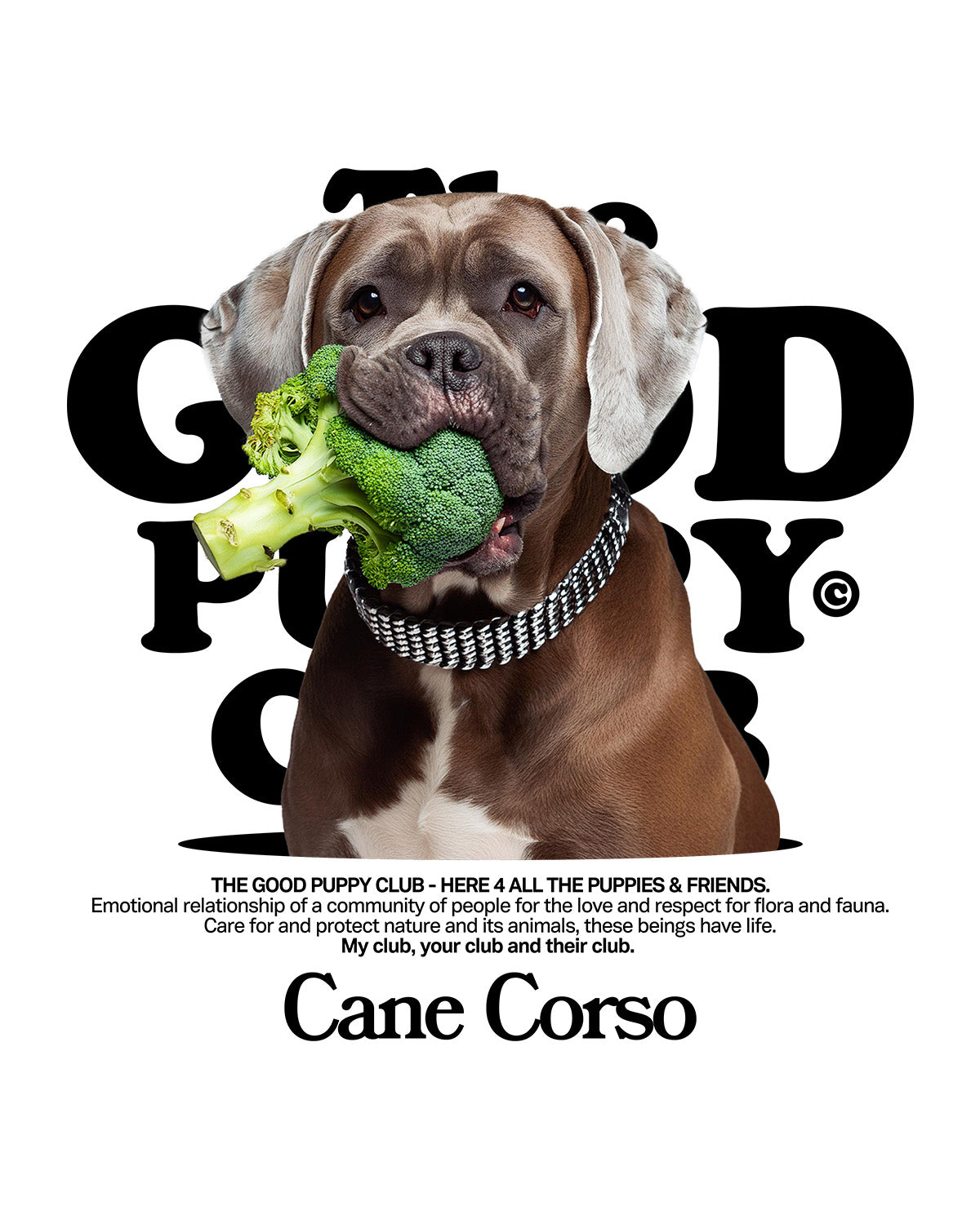 CANE CORSO HOODIE