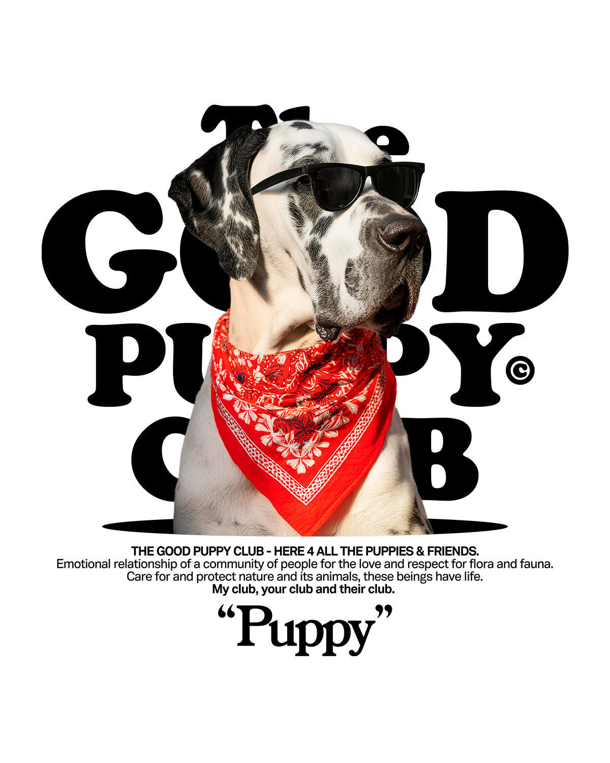 GREAT DANE ZIP-UP SWEATSHIRT