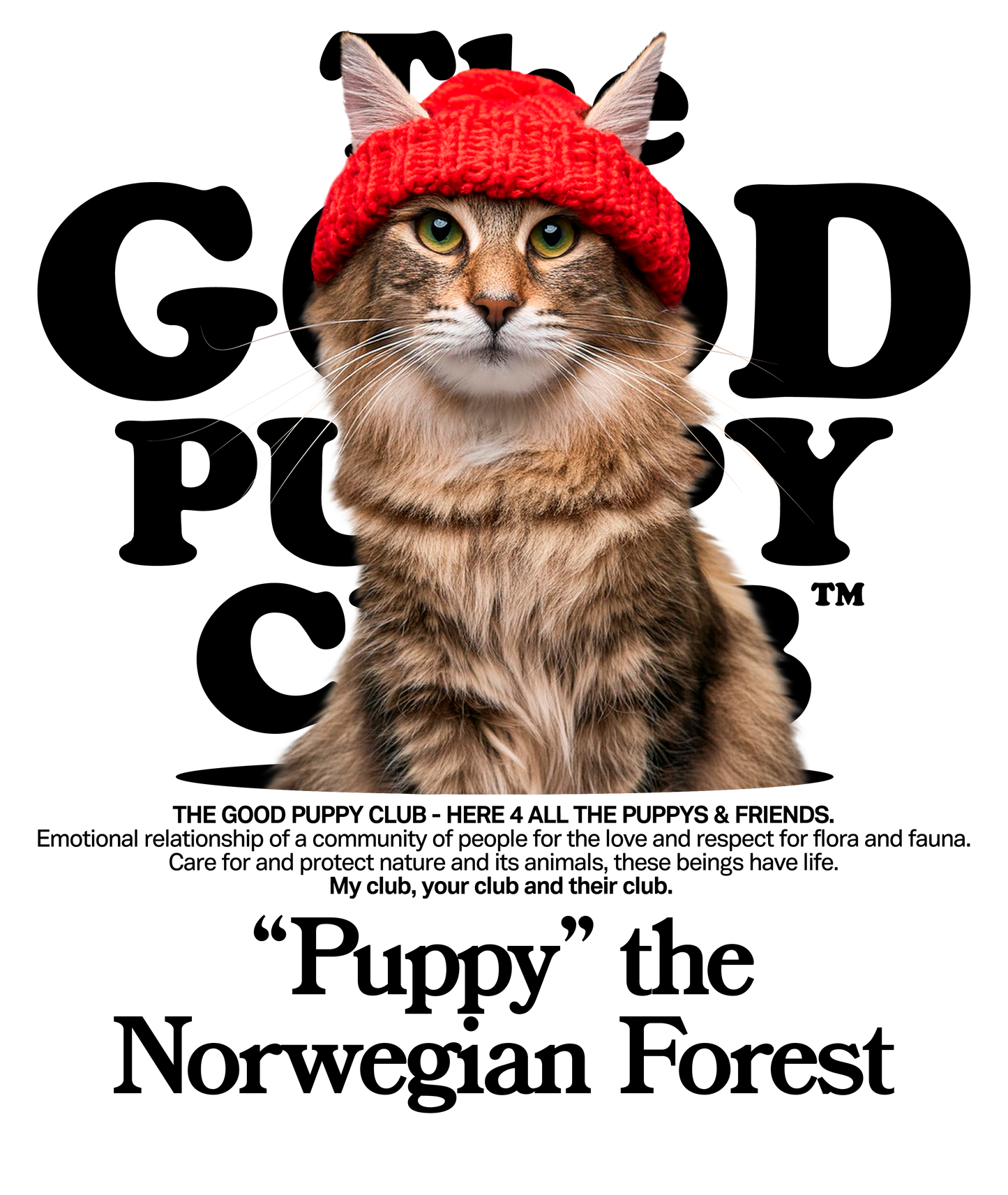 NORWEGIAN FOREST SWEATSHIRT