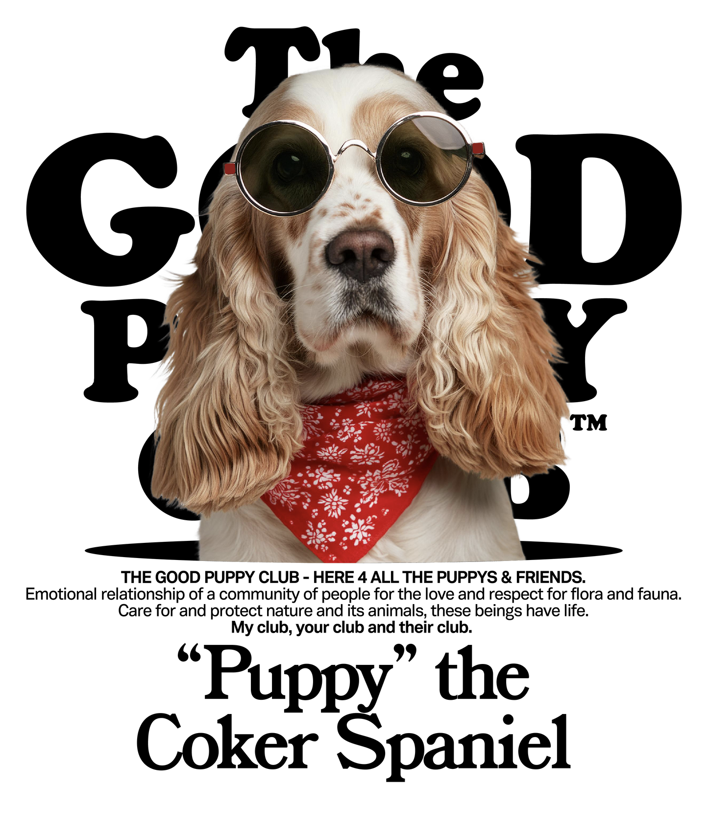 COKER SPANIEL SWEATSHIRT