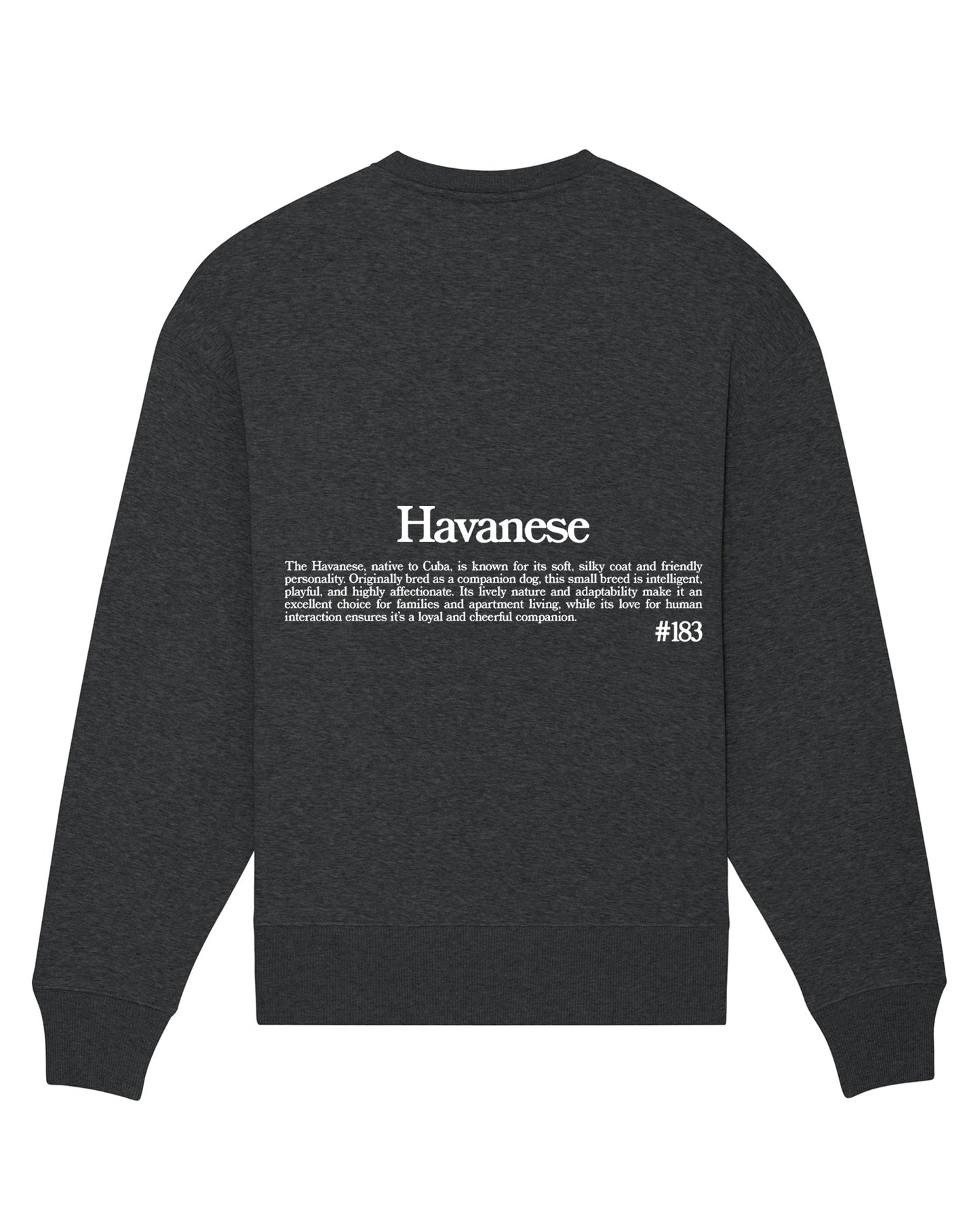 BICHÓN HABANERO SUDADERA