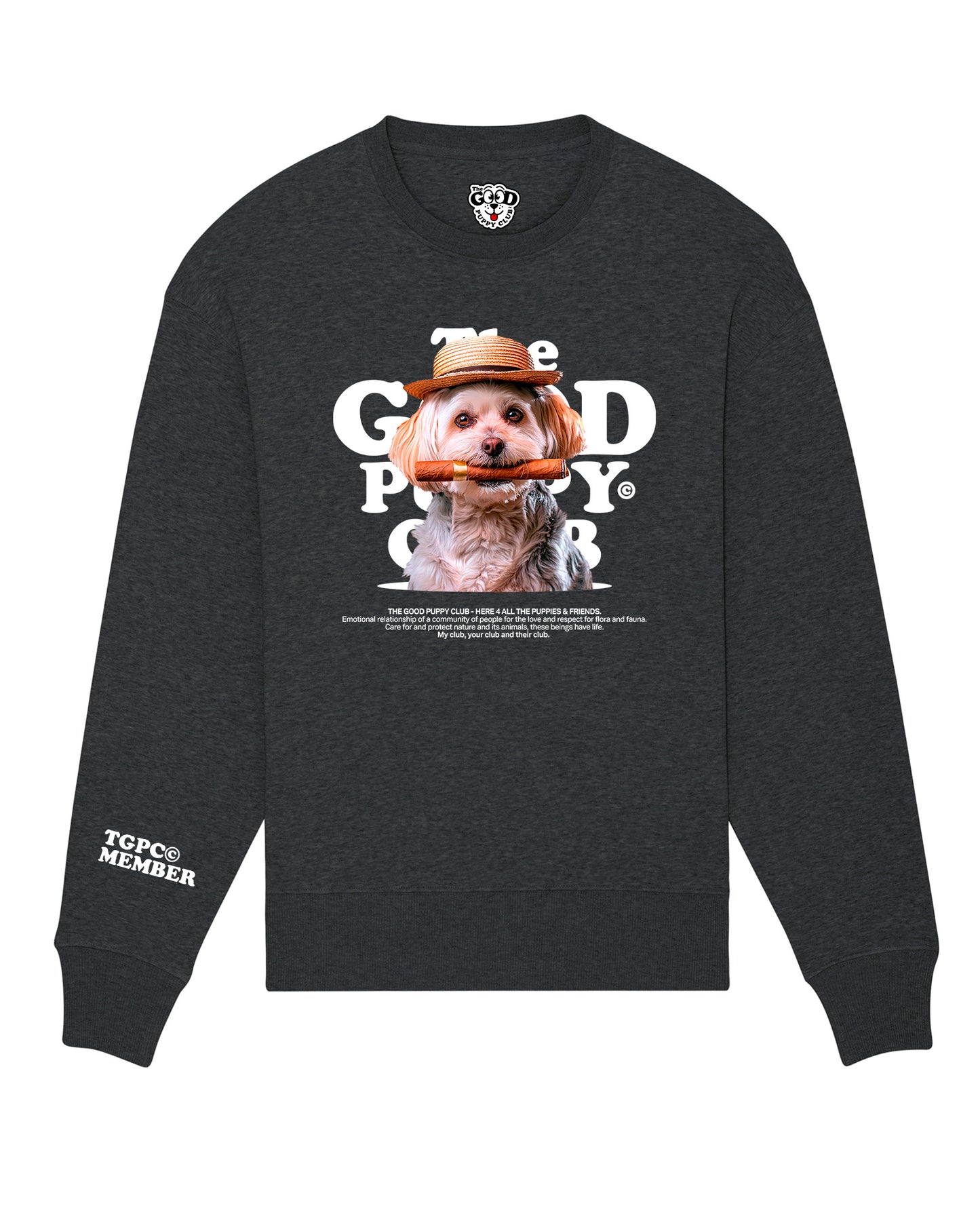 BICHÓN HABANERO SUDADERA