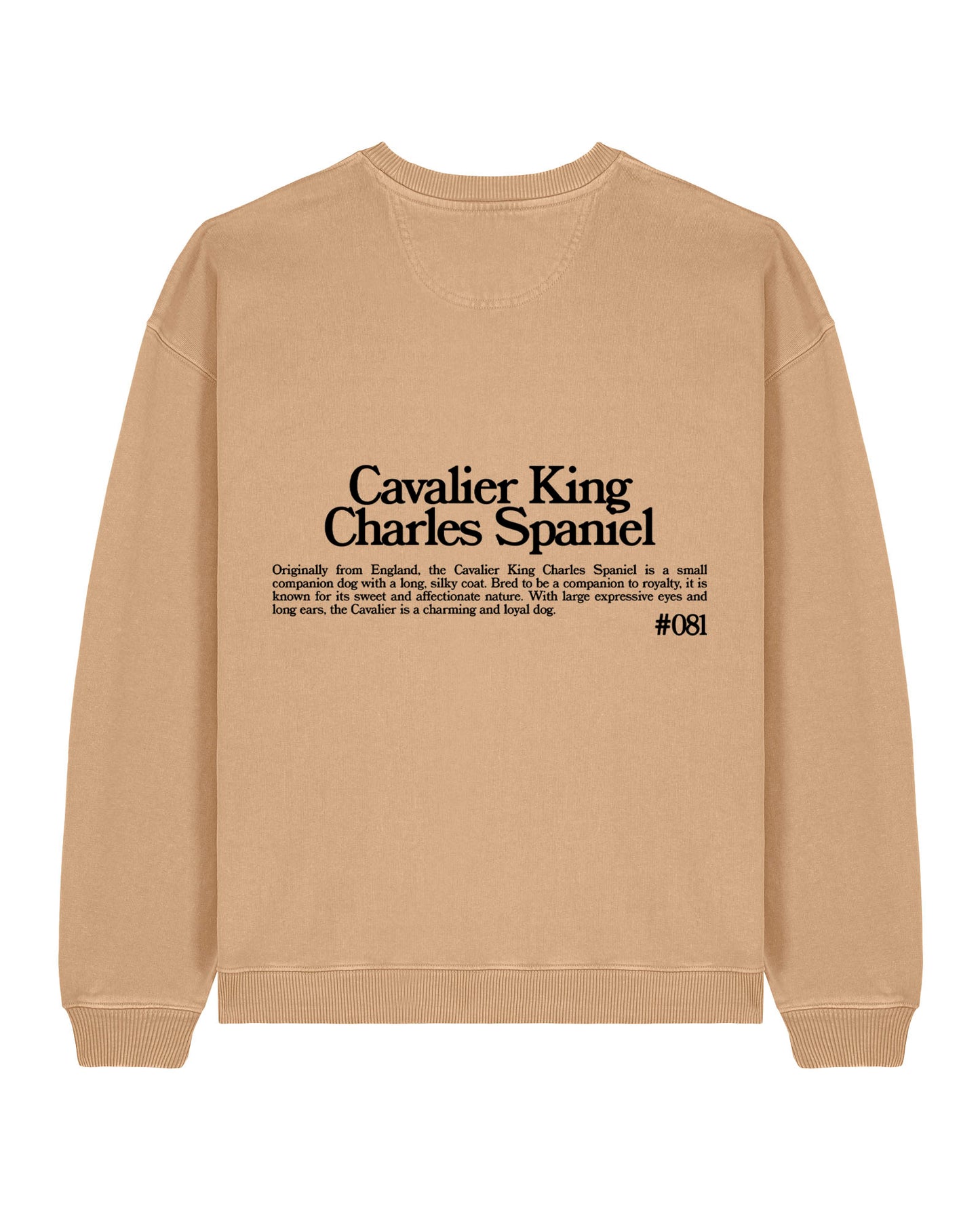 CAVALIER KING CHARLES SPANIEL SWEATSHIRT