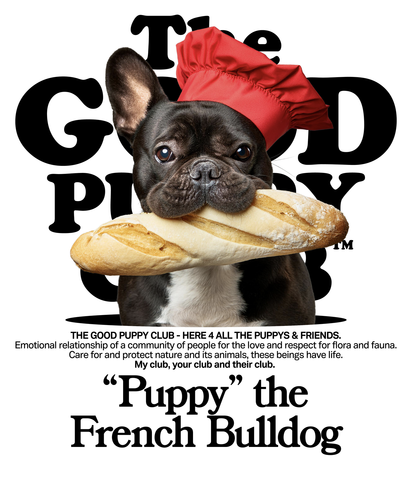 FRENCH BULLDOG T-SHIRT