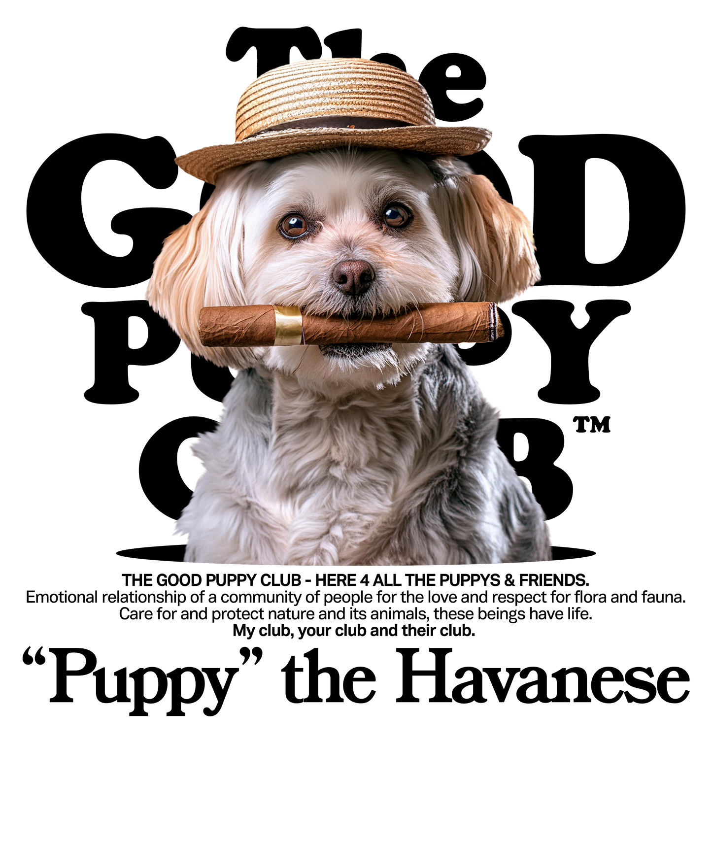 BICHON HAVANA SWEATSHIRT