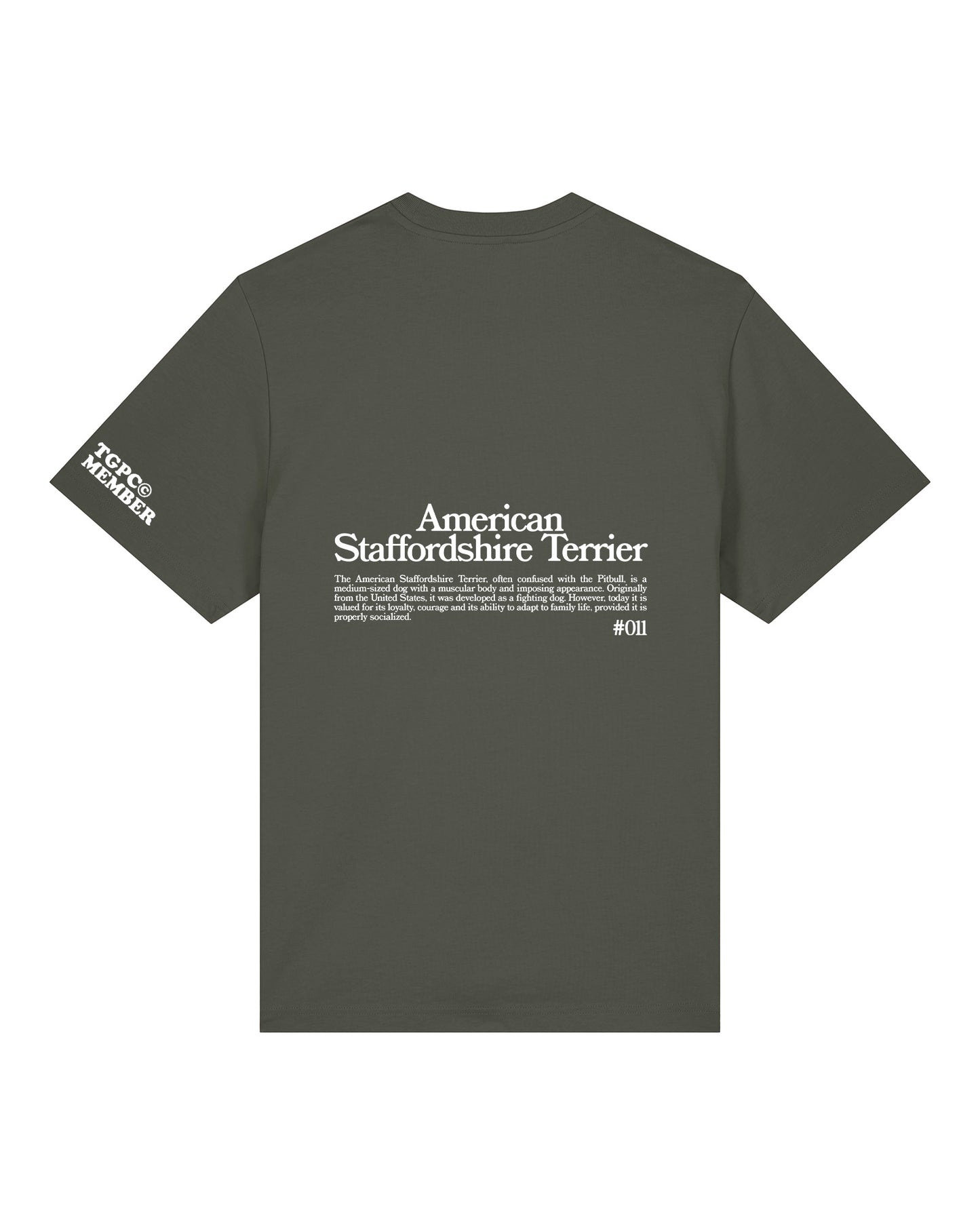 STANFORD AMERICAN T-SHIRT