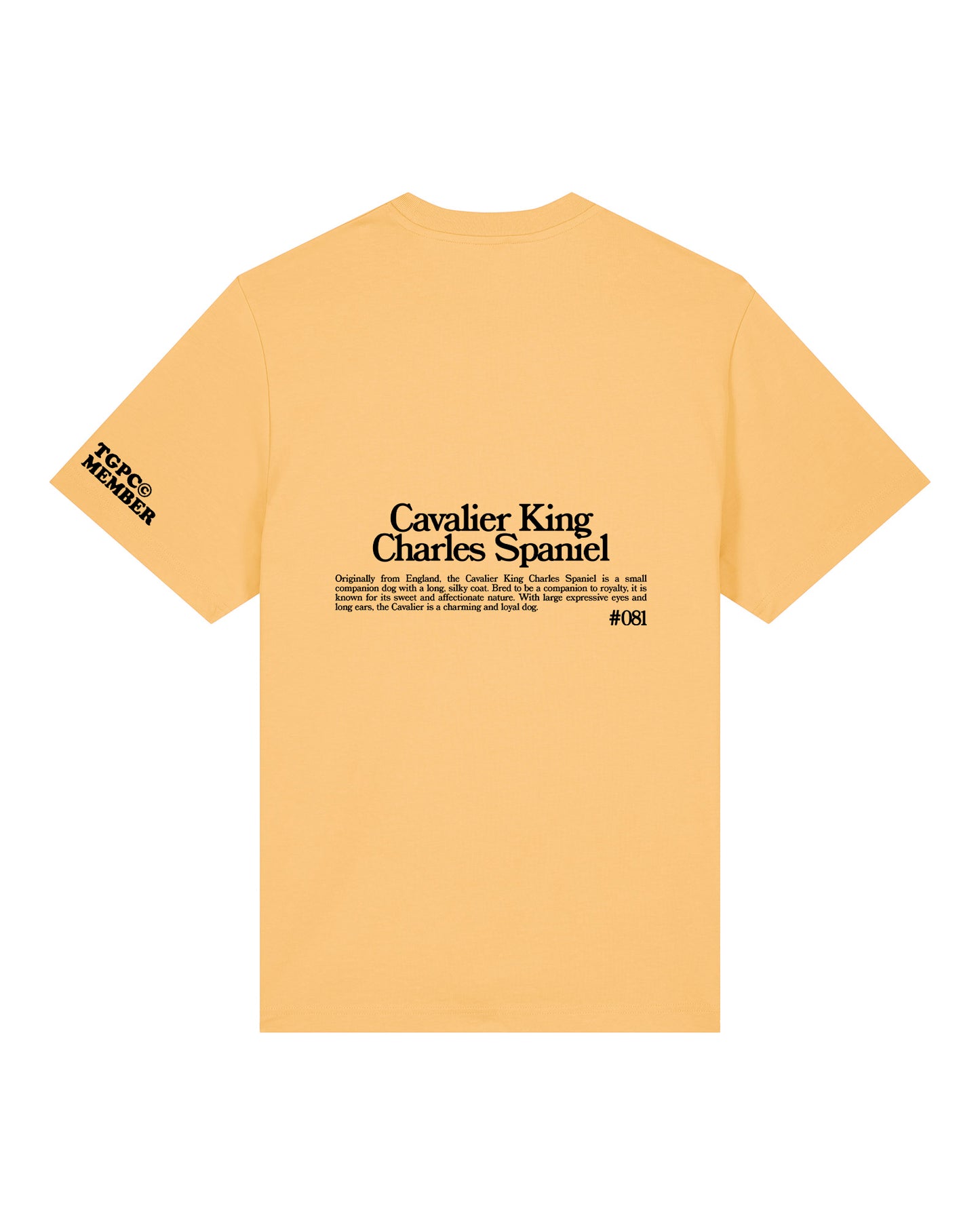 Cavalier King Charles Spaniel T-shirt