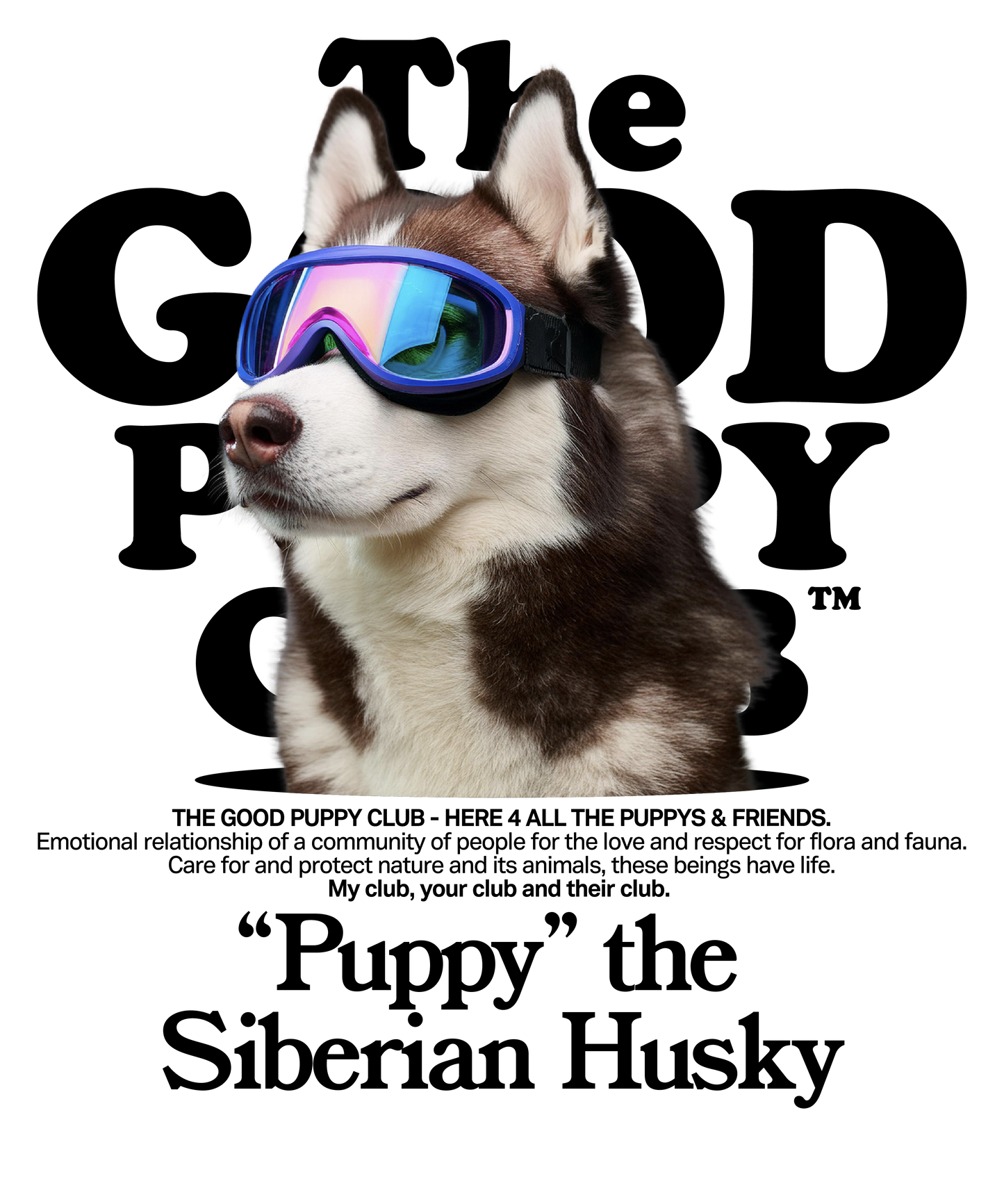 HUSKY SIBERIANO SUDADERA