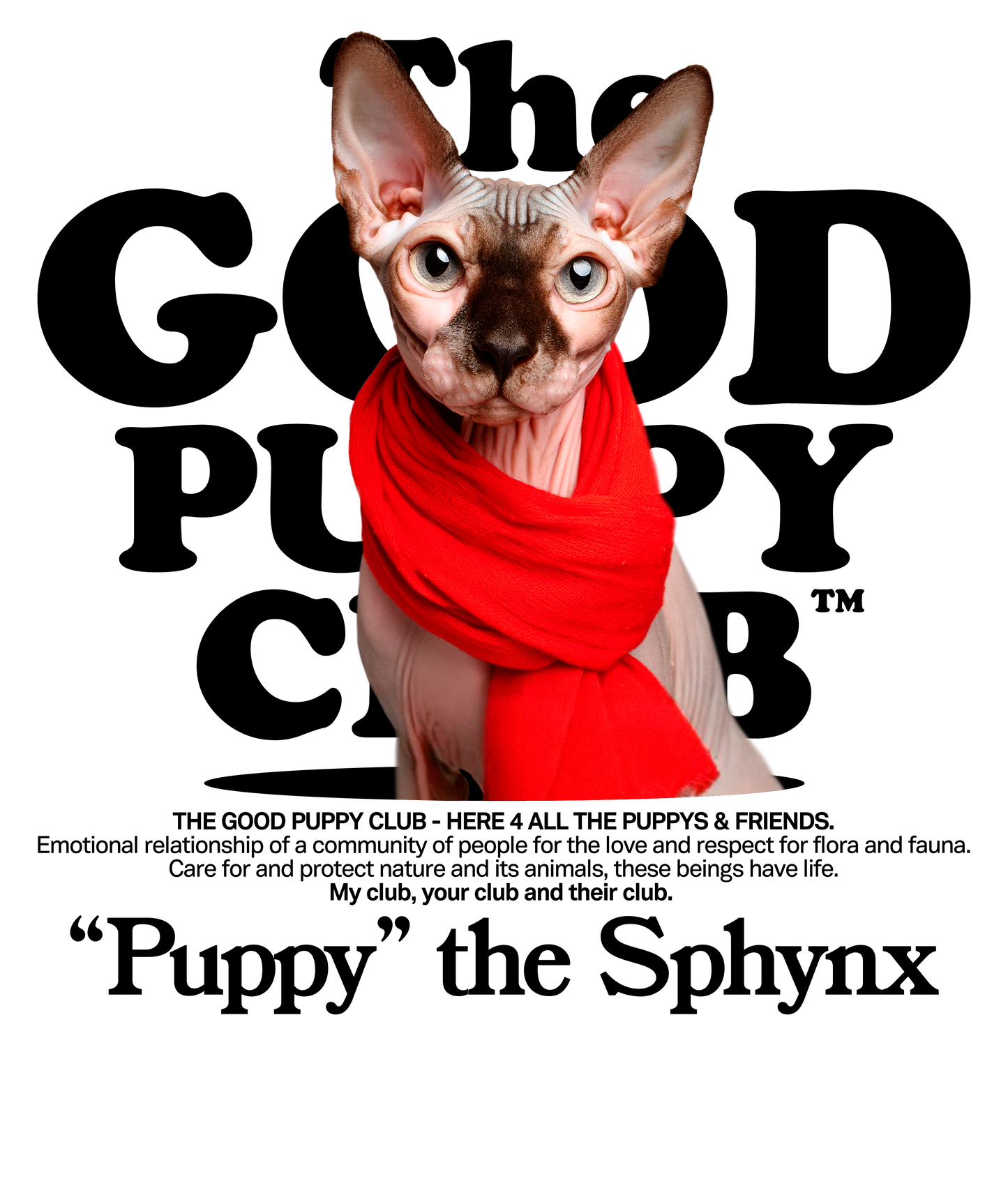 SPHYNX SUDADERA CON CAPUCHA