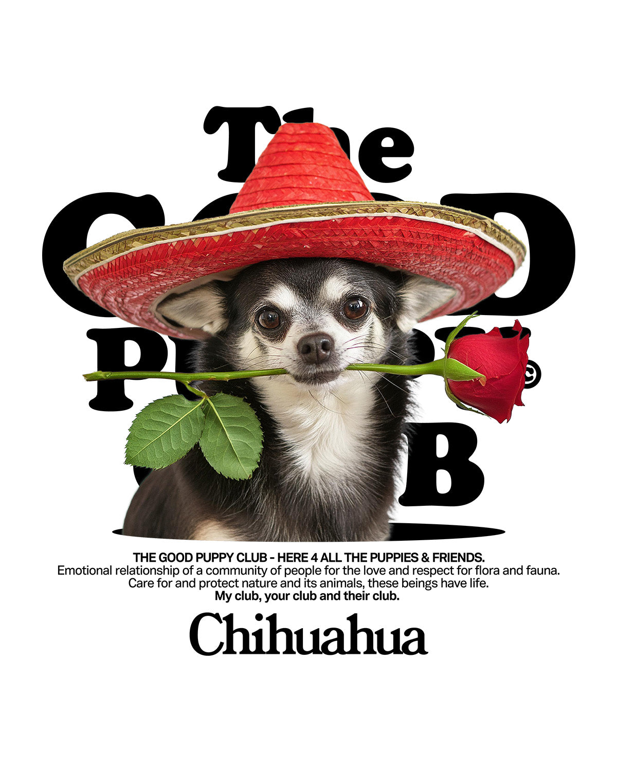 CHIHUAHUA SUDADERA CON CAPUCHA