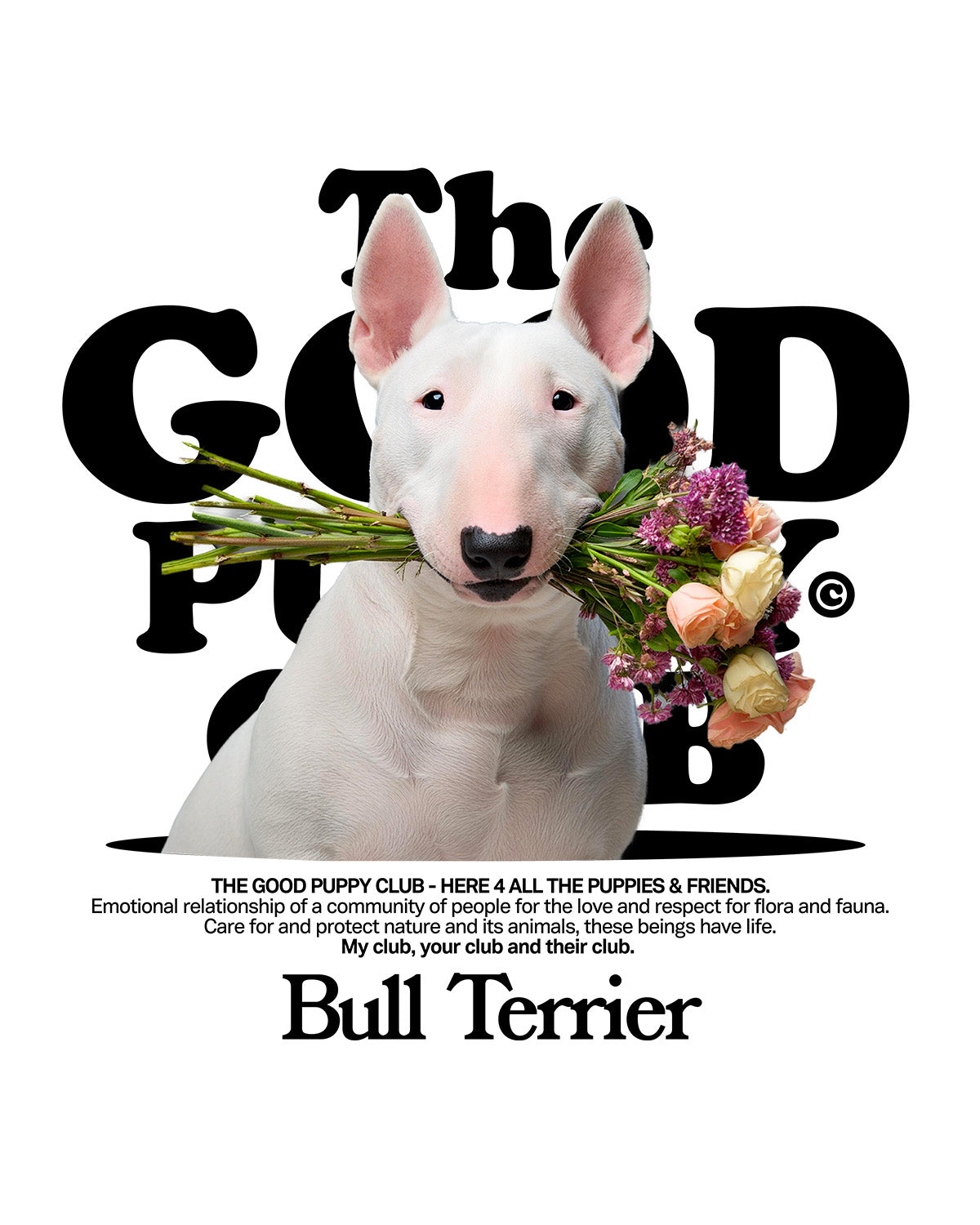 BULL TERRIER SUDADERA CON CAPUCHA