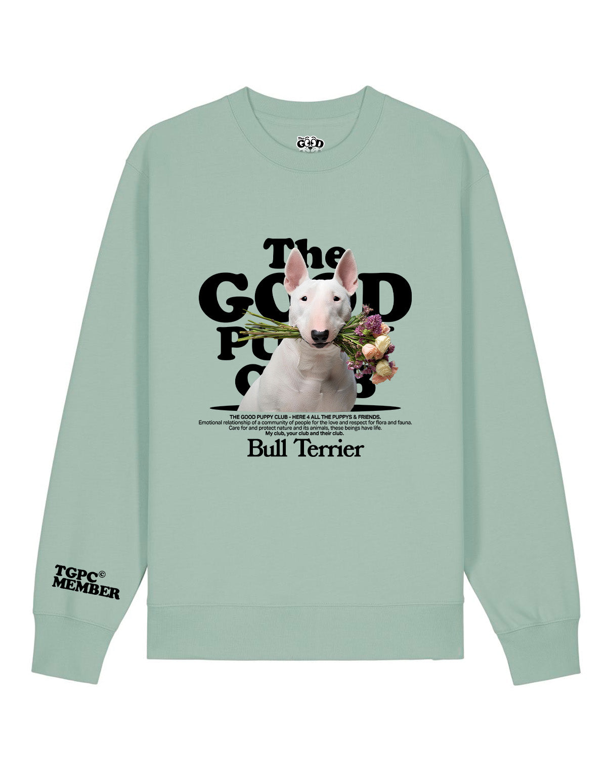 BULL TERRIER SUDADERA