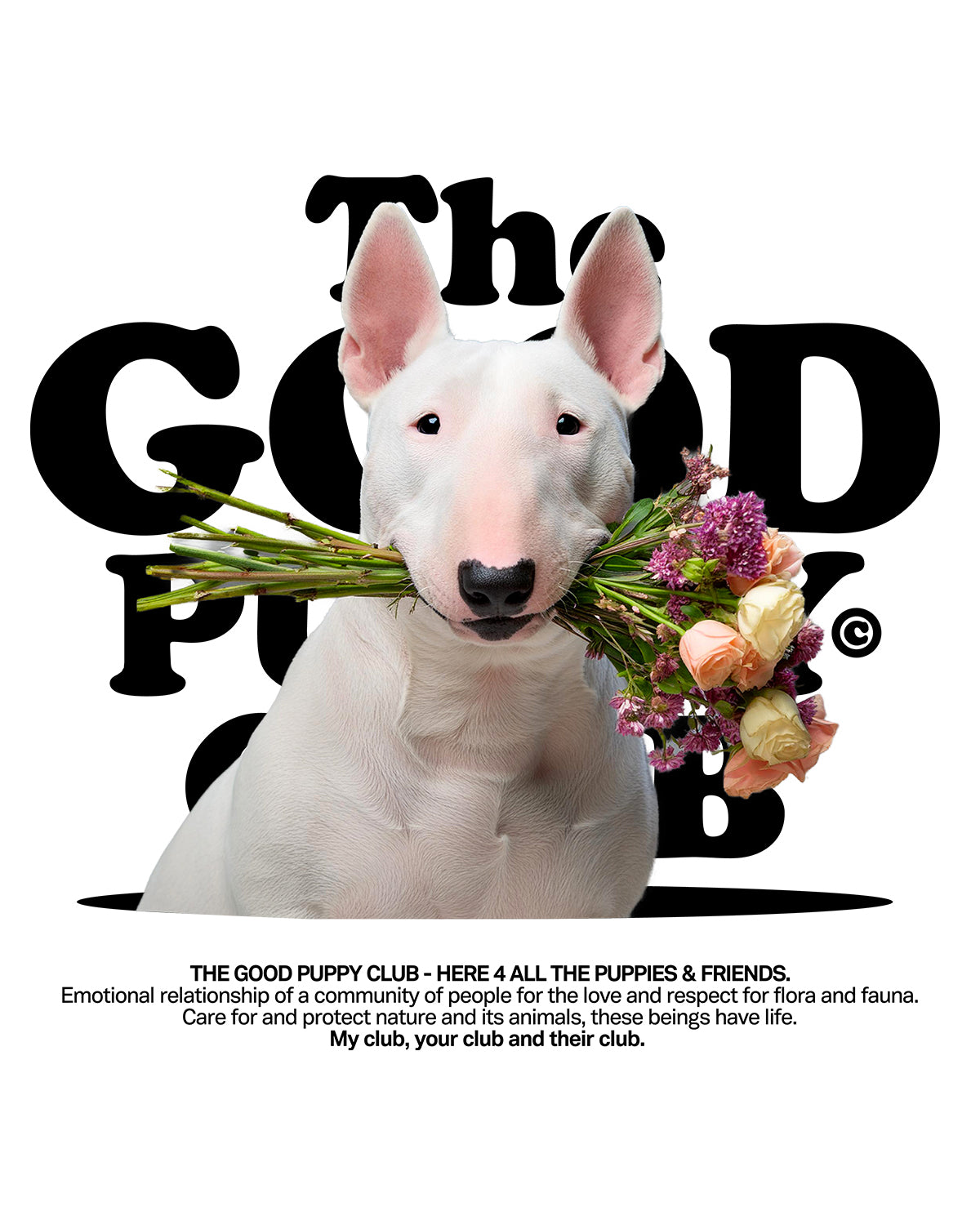 BULL TERRIER SUDADERA CON CREMALLERA