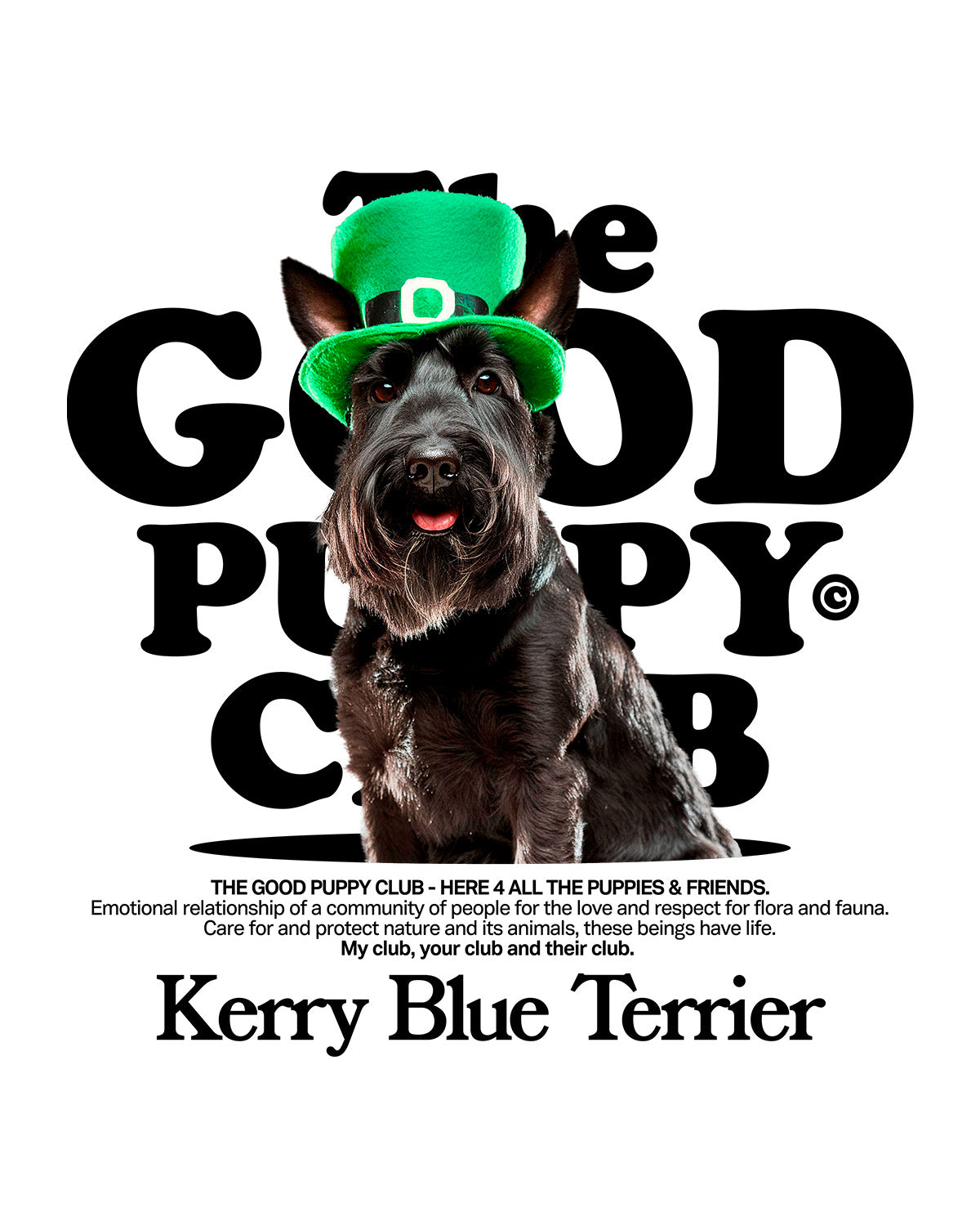 KERRY BLUE TERRIER SUDADERA CON CAPUCHA