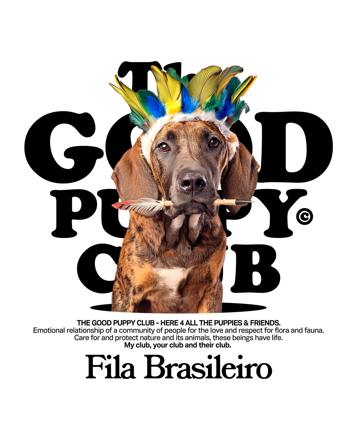 FILA BRASILEÑO SUDADERA CON CAPUCHA