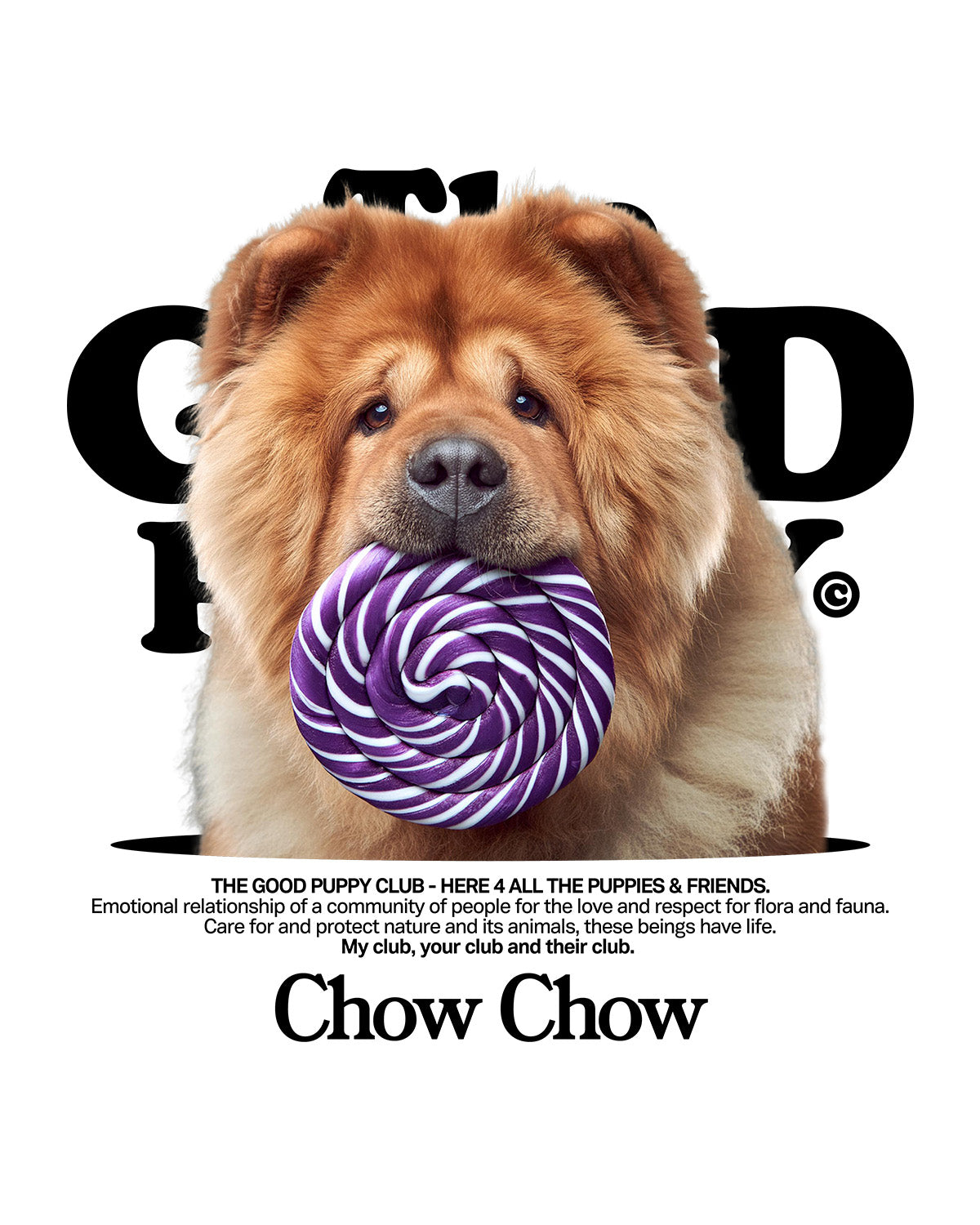 CHOW CHOW SUDADERA CON CAPUCHA