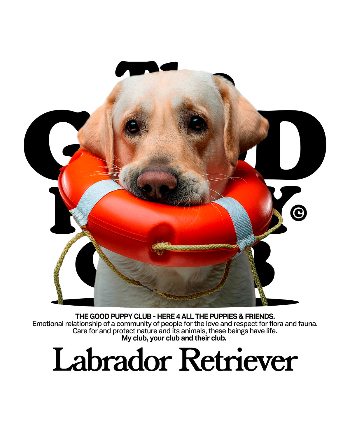 LABRADOR RETRIEVER SUDADERA CON CAPUCHA