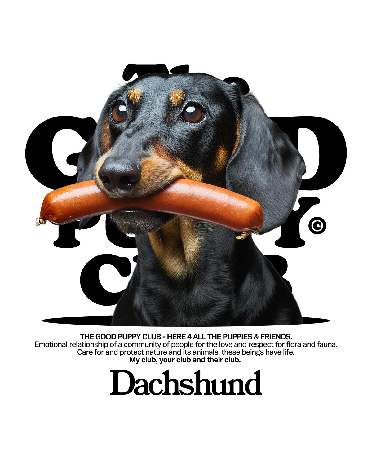 DACHSHUND SUDADERA CON CAPUCHA