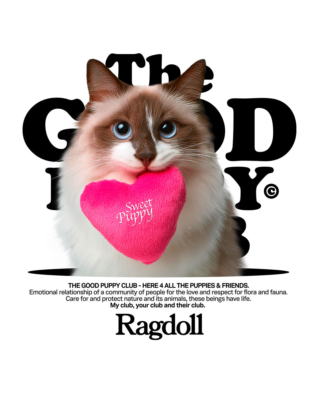 RAGDOLL SUDADERA CON CAPUCHA