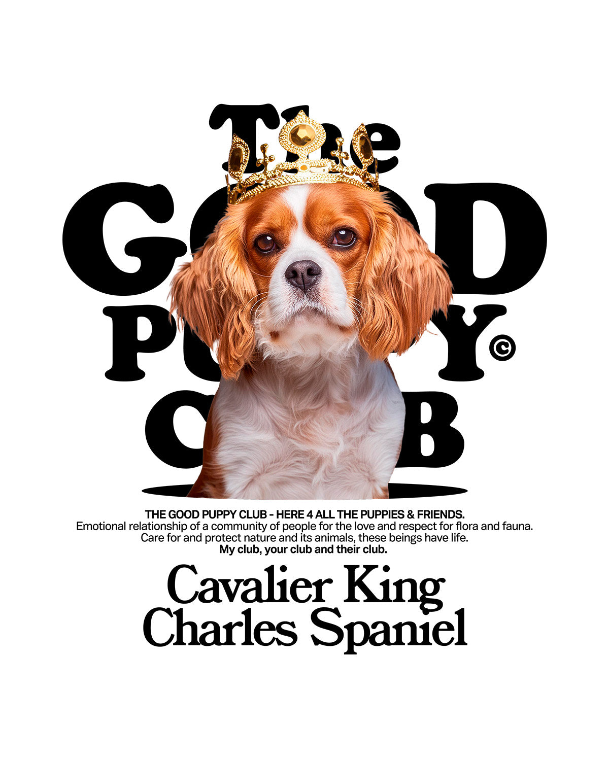 CAVALIER KING CHARLES SPANIEL SUDADERA CON CAPUCHA