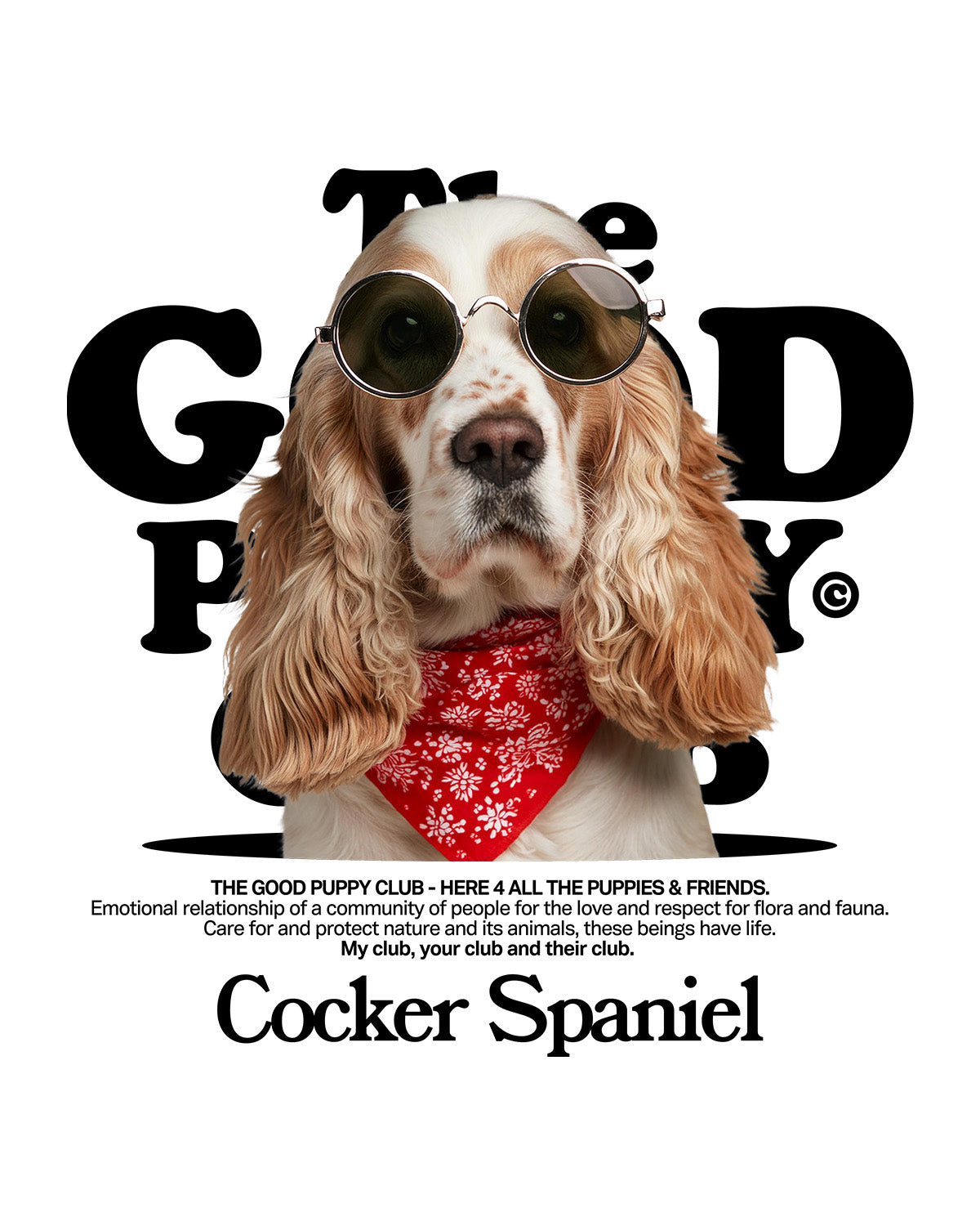 COKER SPANIEL SUDADERA CON CAPUCHA