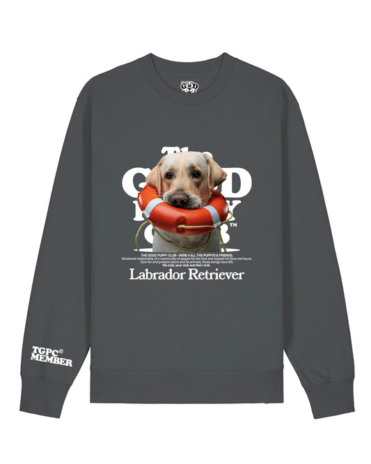 LABRADOR RETRIEVER SUDADERA