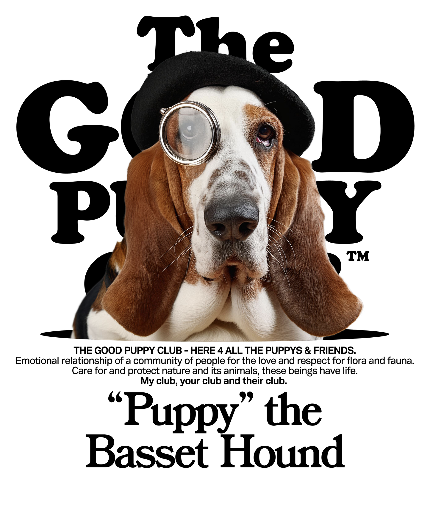 BASSET HOUND SUDADERA