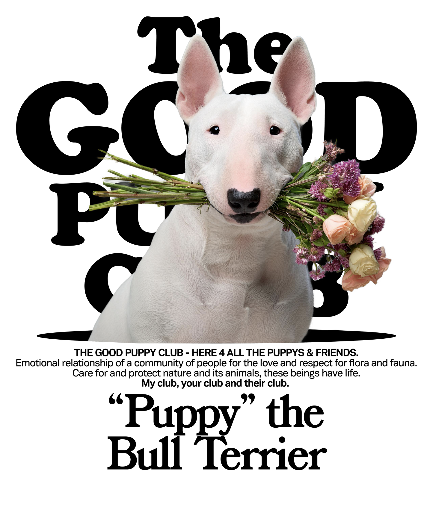 BULL TERRIER SUDADERA