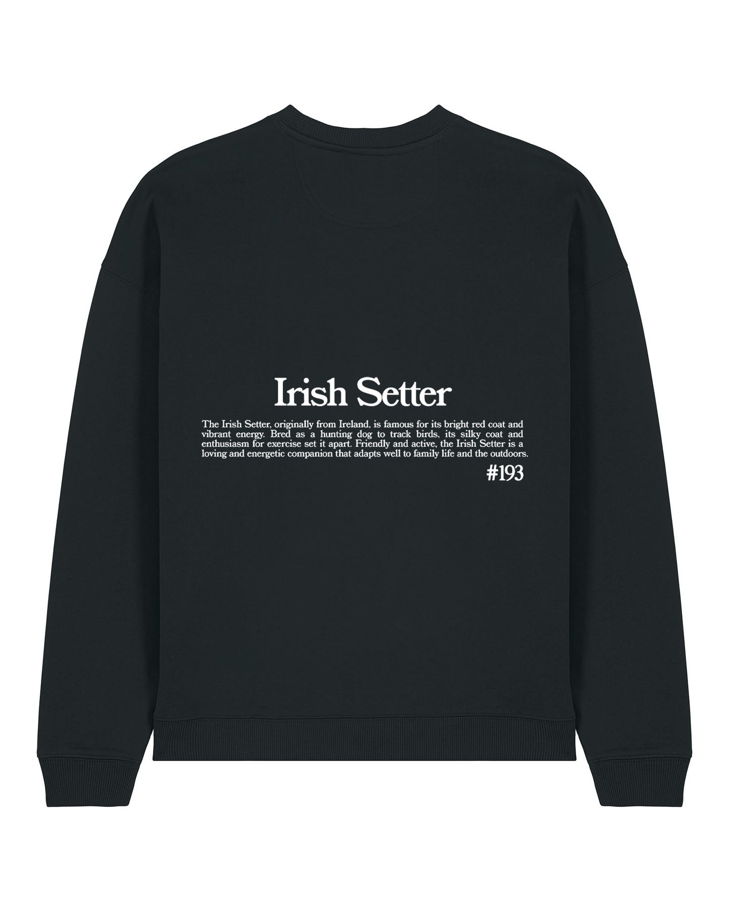 SETTER IRLANDÉS SUDADERA