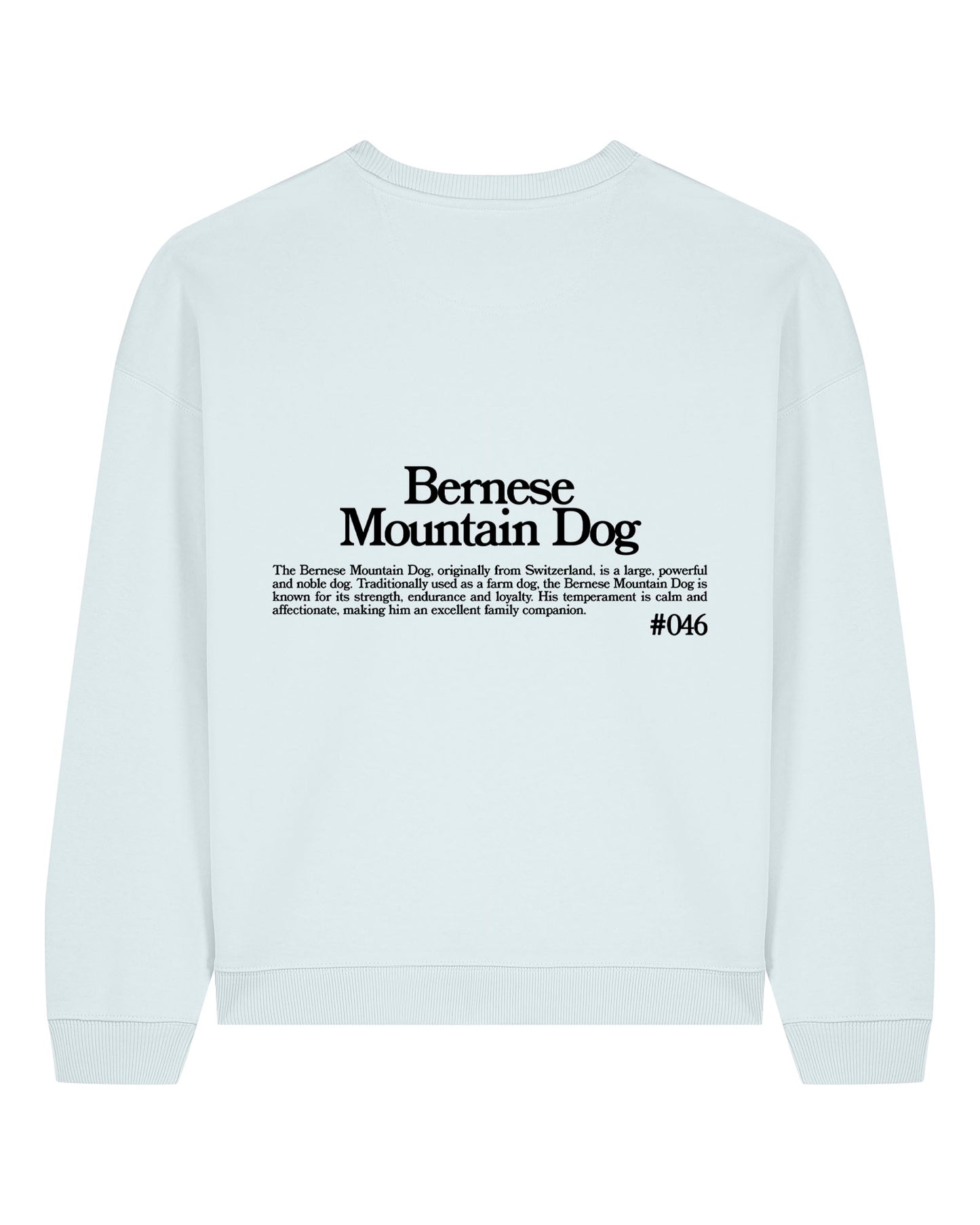 BOUVIER BERNOIS SUDADERA