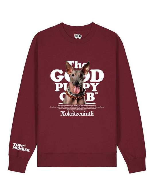 XOLOITZCUINTLI SUDADERA