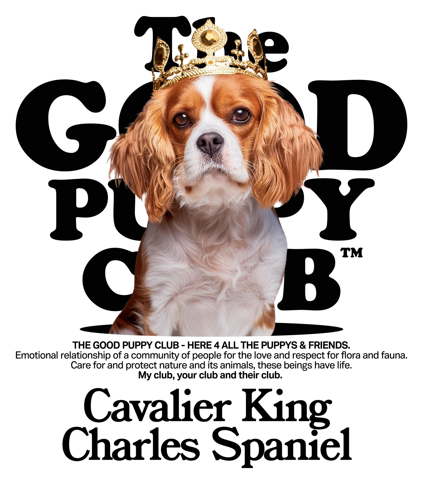 CAVALIER KING CHARLES SPANIEL CAMISETA BUSTOS