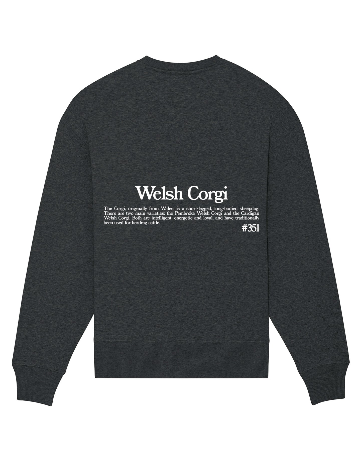 WELSH CORGI SUDADERA