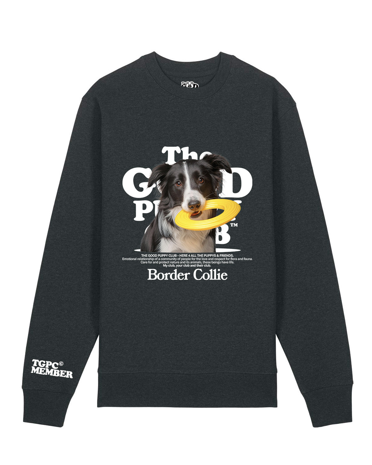 BORDER COLLIE SUDADERA