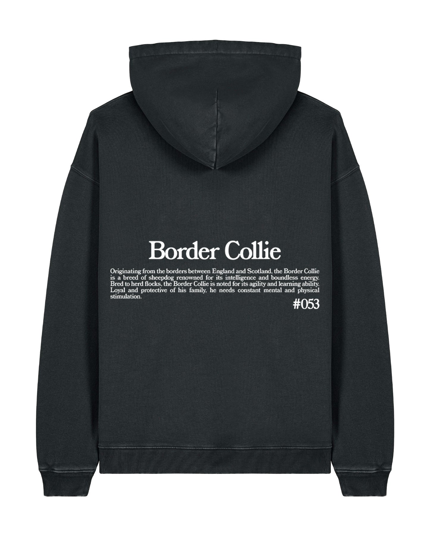 BORDER COLLIE SUDADERA CON CAPUCHA