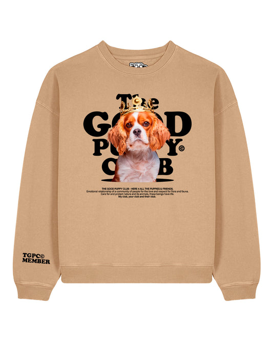 CAVALIER KING CHARLES SPANIEL SUDADERA