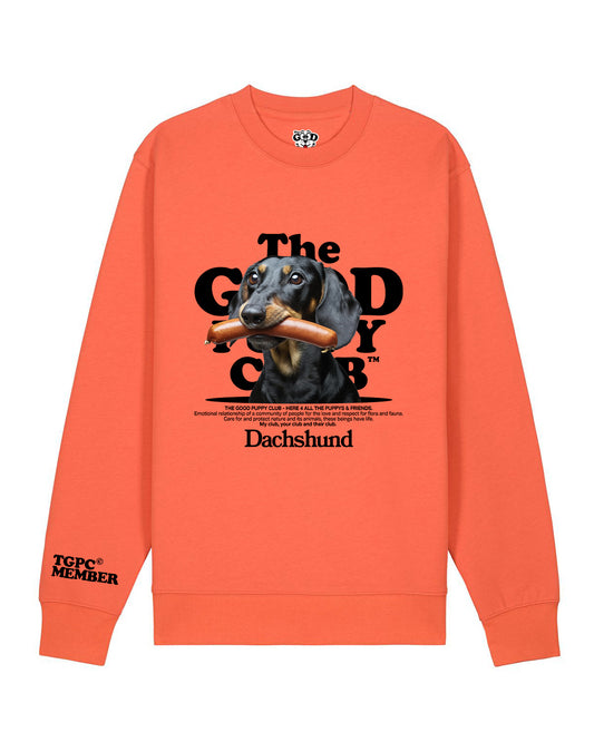 DACHSHUND SUDADERA