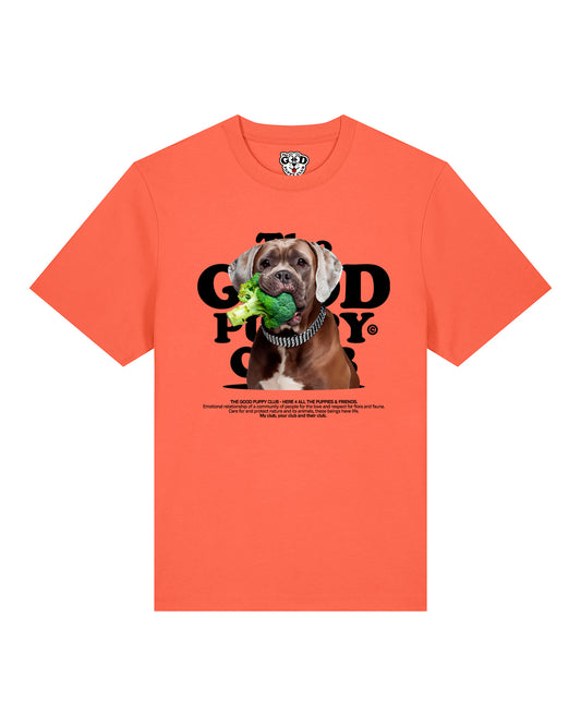 CANE CORSO CAMISETA