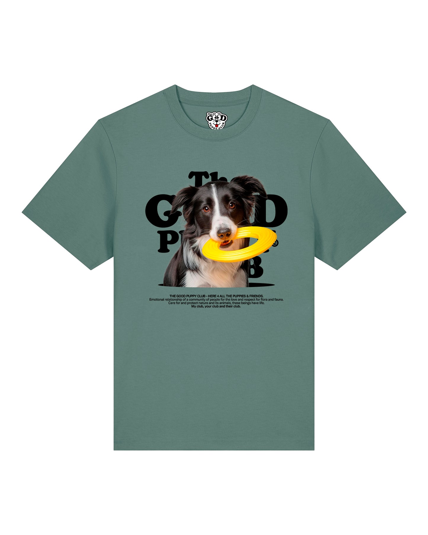 BORDER COLLIE CAMISETA